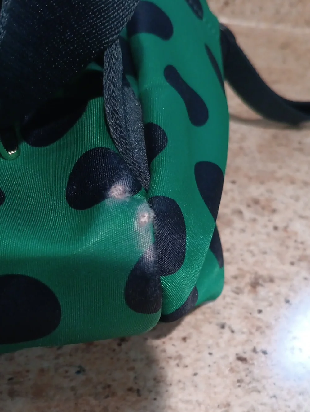 kate spade Chelsea Delightful Dot Nylon Backpack